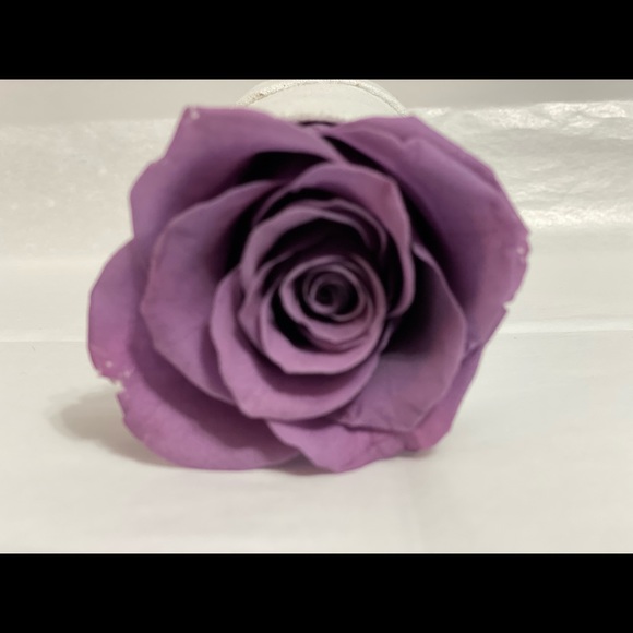 Meet your Posher, Michelle - Picture 1 of 1